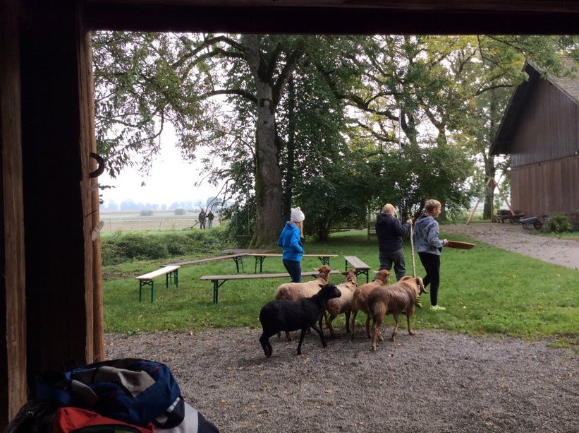 Landwirtschafts- und Waldpraktikum