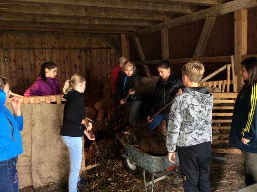 Landwirtschafts- und Waldpraktikum