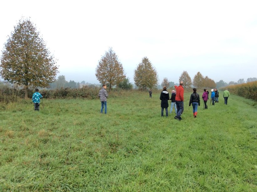 Landwirtschafts- und Waldpraktikum